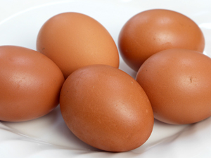 高橋養鶏場の卵