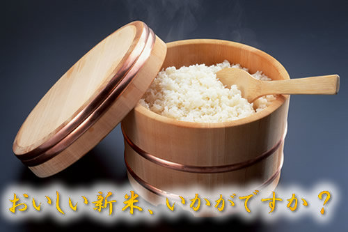 美味しい新米如何ですか？