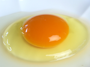 高橋養鶏場のたまご