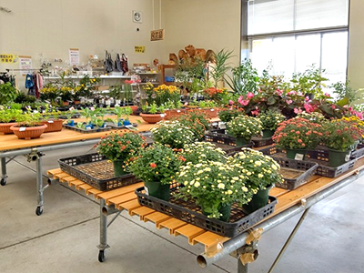 そすいの郷　花