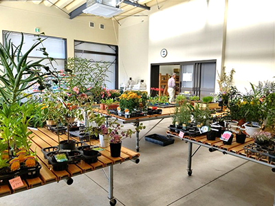 そすいの郷　花