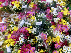 そすいの郷　花